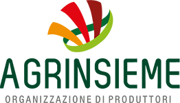 Agrinsieme