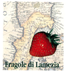 Fragole di Lamezia